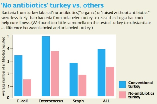 effects of antibiotics in turkeys (image: courtesy mother jones)