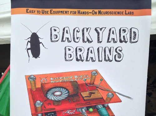 backyard brains